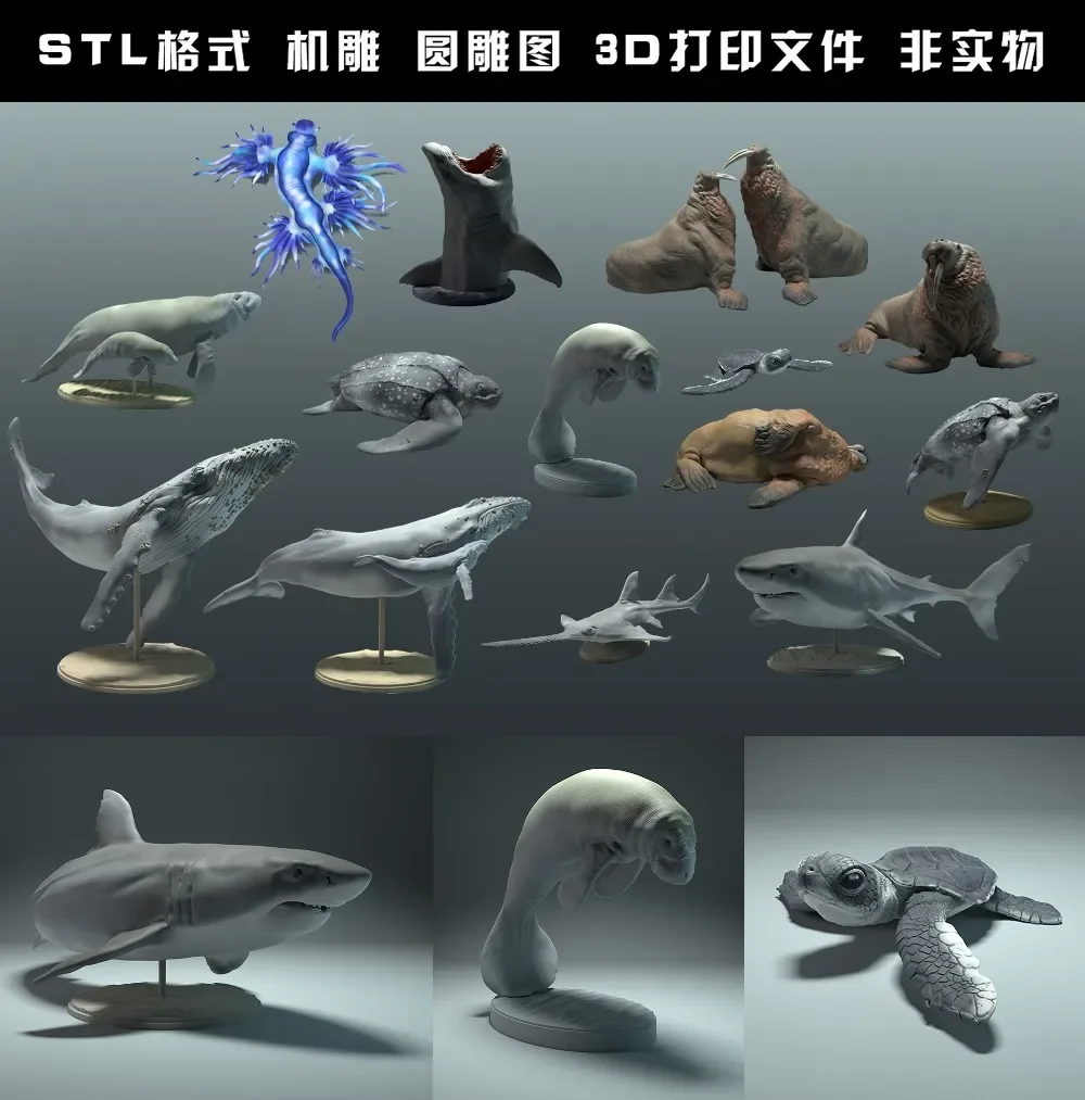 Hewan, beruang kutub, takin, s - 3D Printing File ulasan dan harga